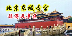 亚州美女大邚日逼中国北京-东城古宫旅游风景区